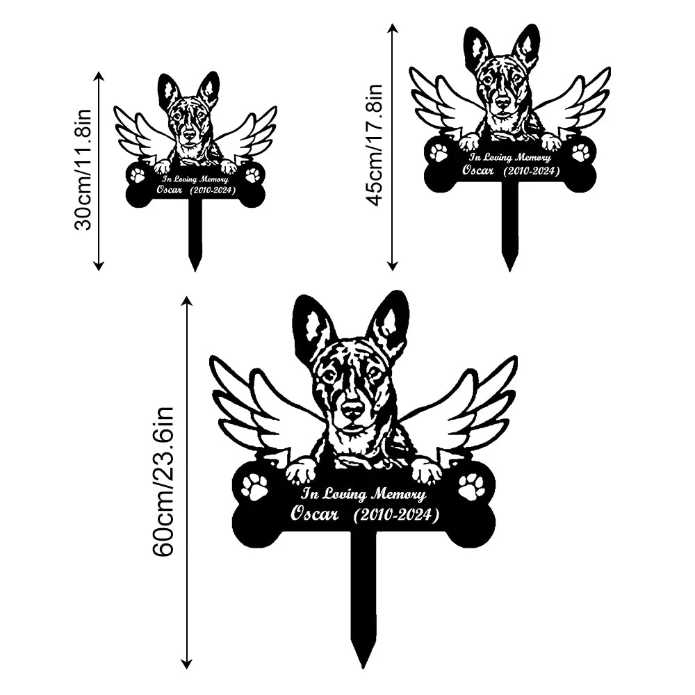 Image du produit 13