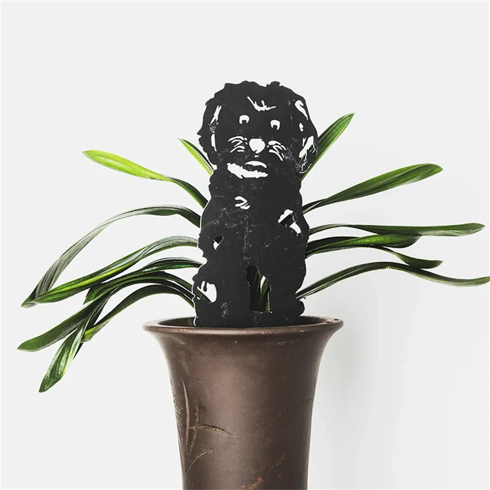 Image du produit 12