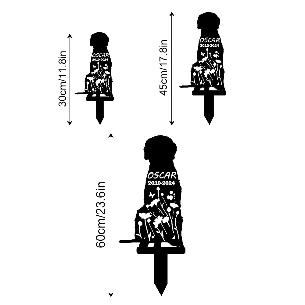 Image du produit 12