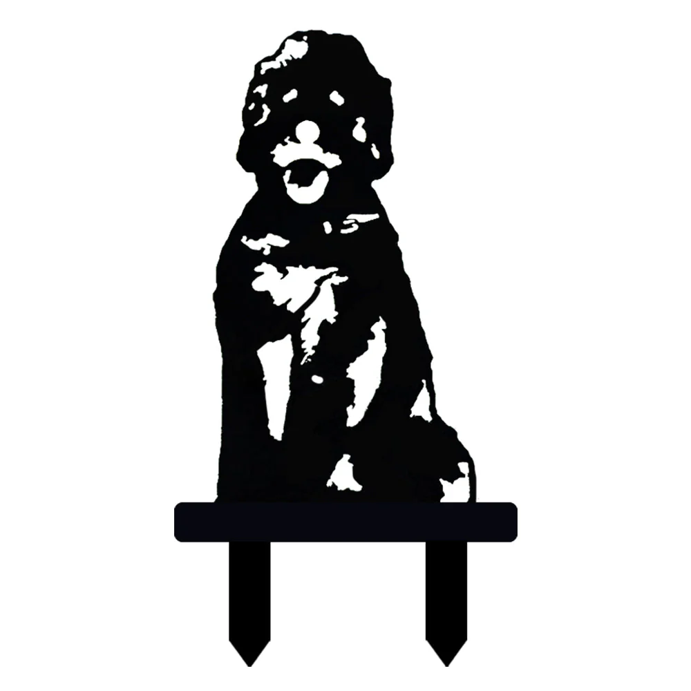 Image du produit 12