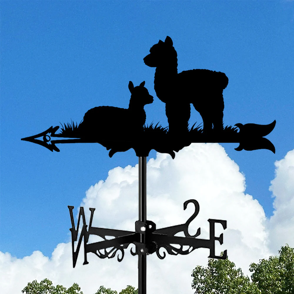 Image du produit 9