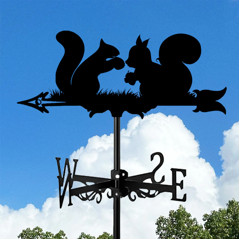 Image du produit 12