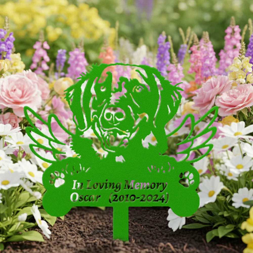 Image du produit 9